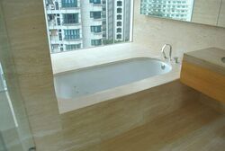 Ardmore II (D10), Condominium #567520481